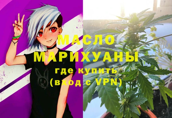 крисы Кулебаки