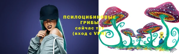 крисы Кулебаки