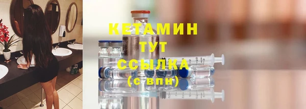 крисы Кулебаки