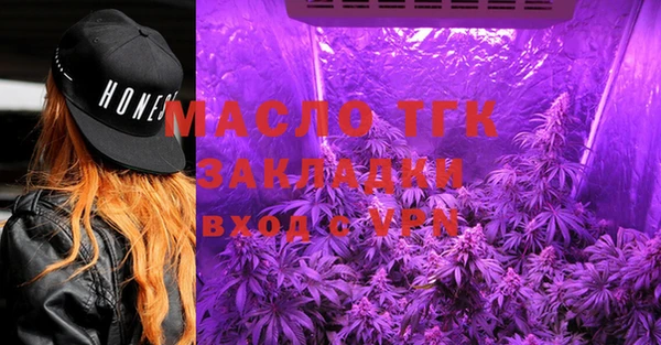 крисы Кулебаки