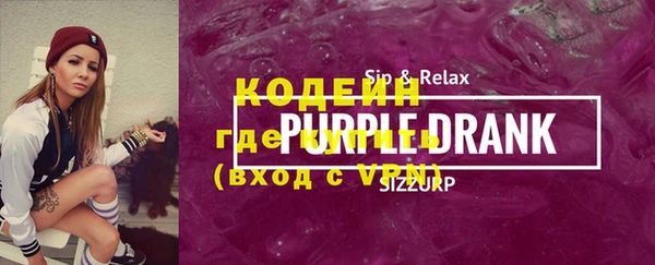 крисы Кулебаки
