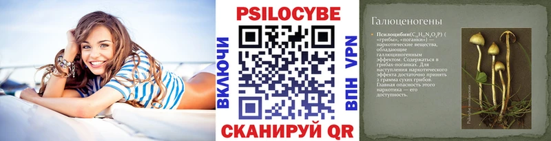 хочу наркоту  блэк спрут онион  Галлюциногенные грибы Psilocybe  Таштагол 